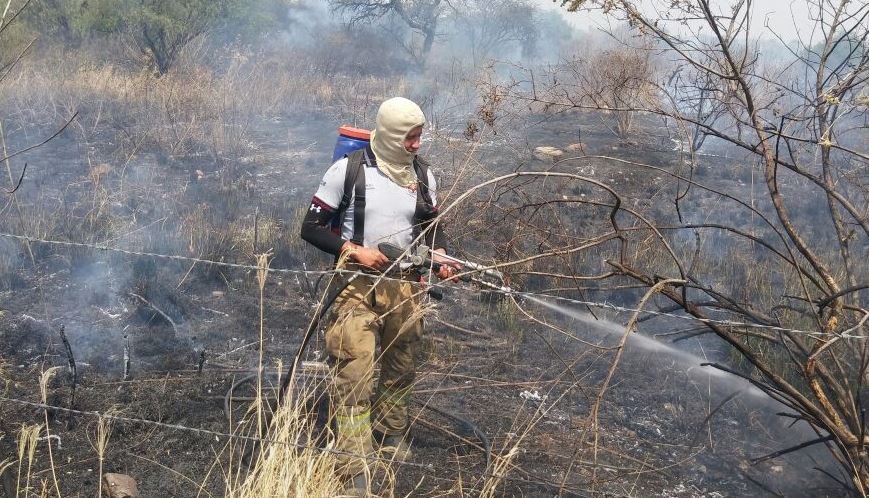 Incendio consume decenas de hectáreas en Guanajuato