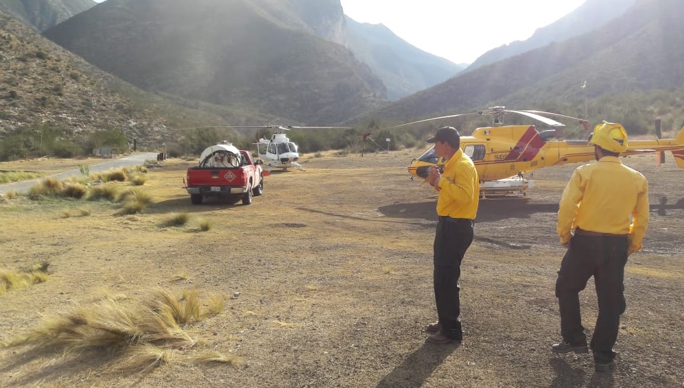 Controlan incendio forestal en sierra de Zapalinamé en Saltillo Coahuila