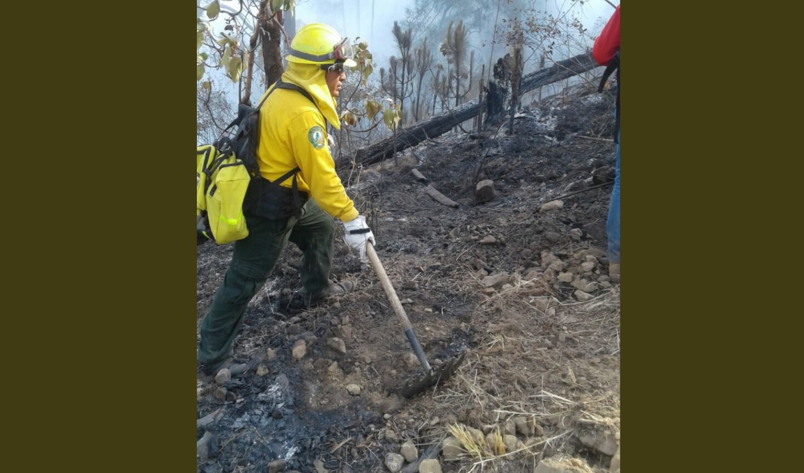 Controlan incendio forestal en reserva de Monte Alto, Valle de Bravo