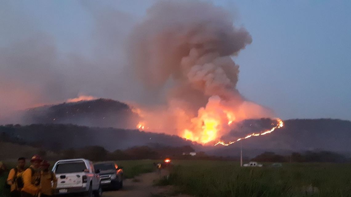 Autoridades identifican al presunto responsable del incendio en Bosque de la Primavera, en Jalisco