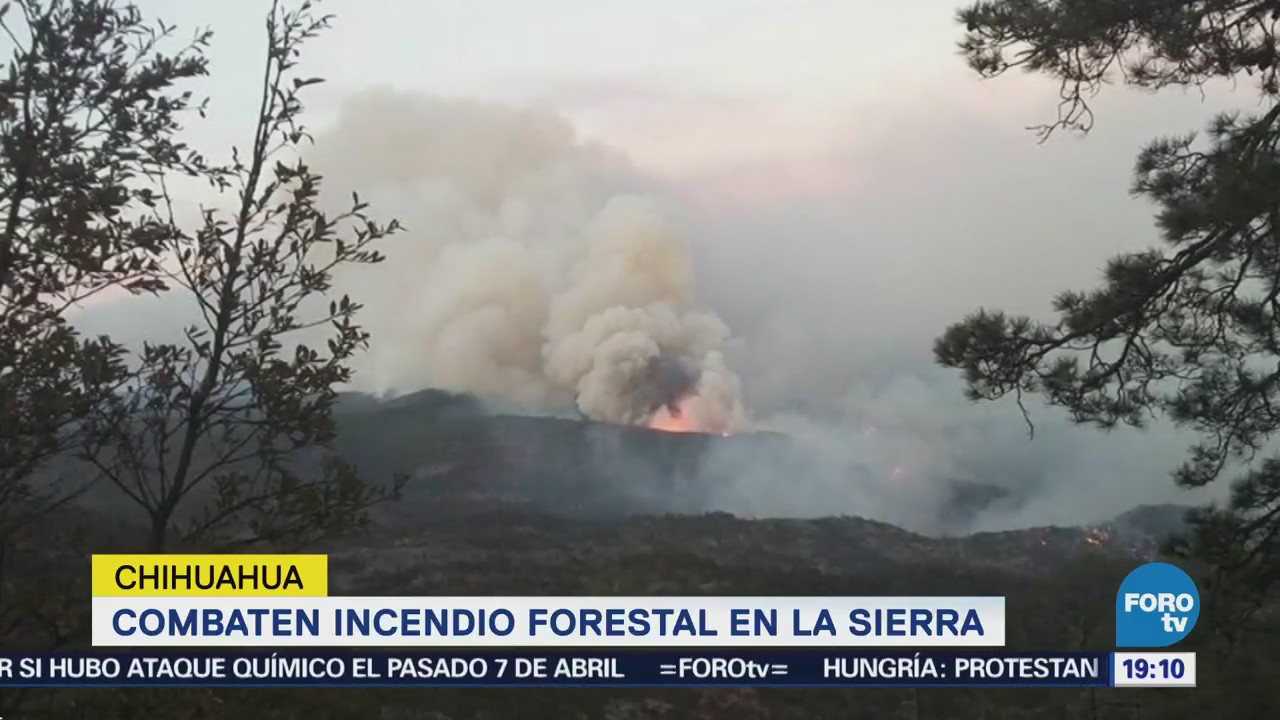 Incendio Forestal Afecta 10 Mil Hectáreas Sierra Chihuahua