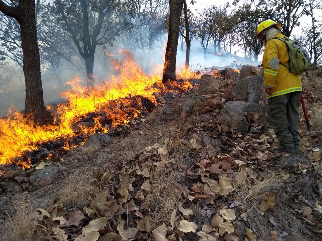 Suspenden clases en cuatro municipios de Jalisco por incendio forestal