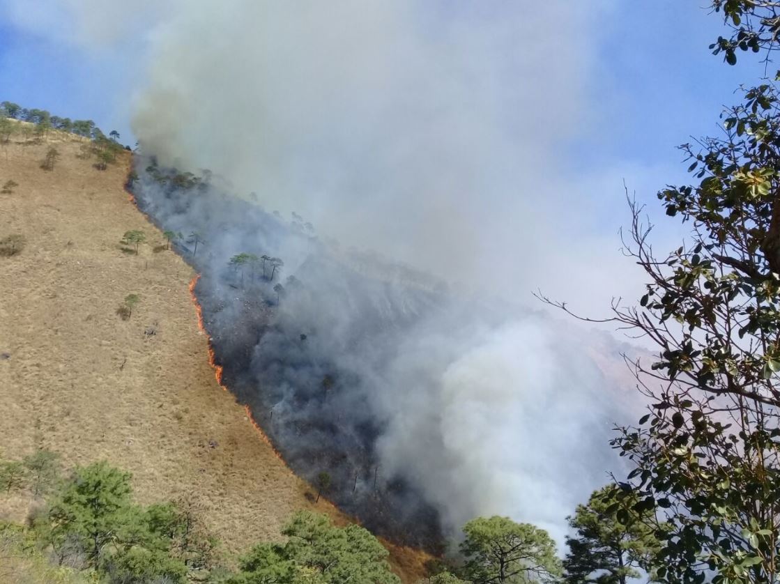 profepa denuncia incendio reserva ecologica