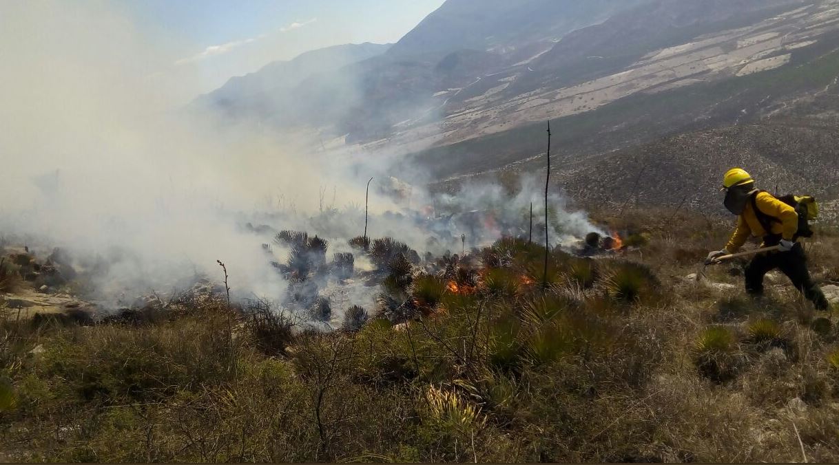 Continúan trabajos para sofocar incendios forestales activos en Tamaulipas