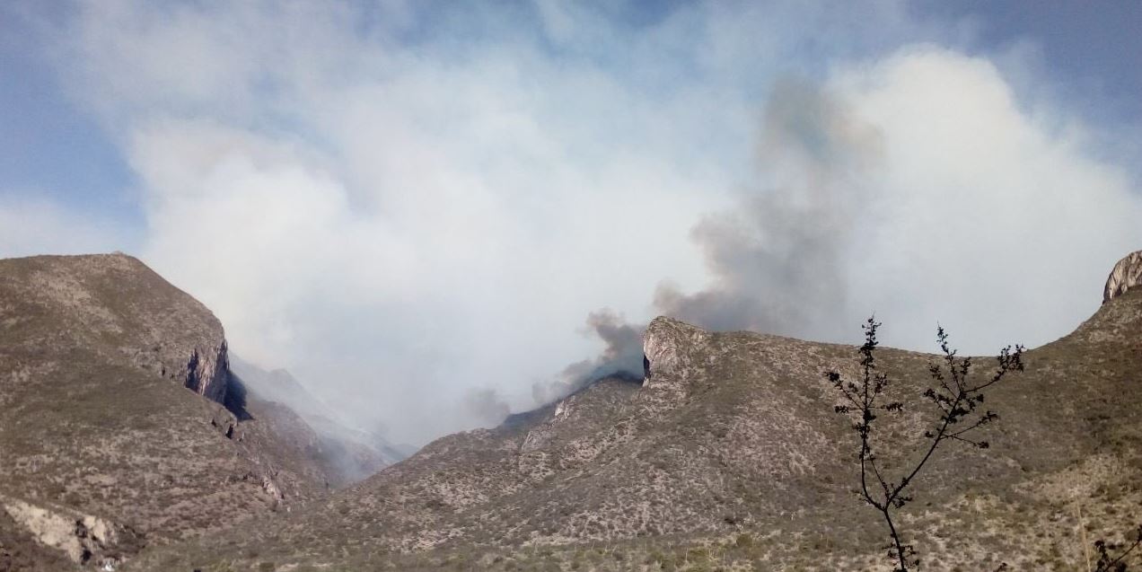 Incendio consume Cañón de San Lorenzo en Coahuila; detienen a presuntos responsables