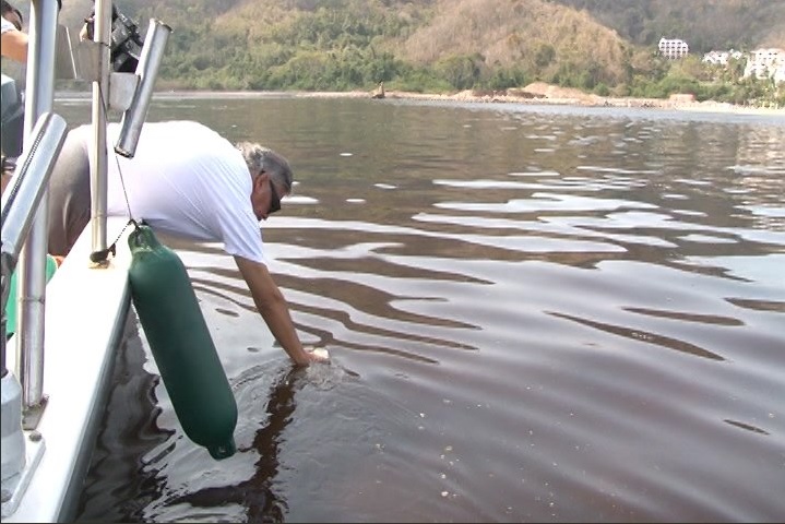 Emiten alerta preventiva por marea roja tóxica en Manzanillo, Colima