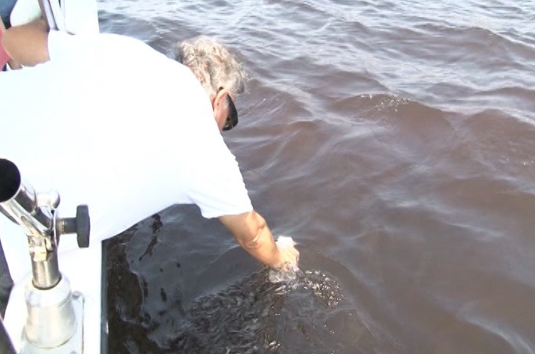 Persiste marea roja tóxica en costas de Manzanillo, Colima