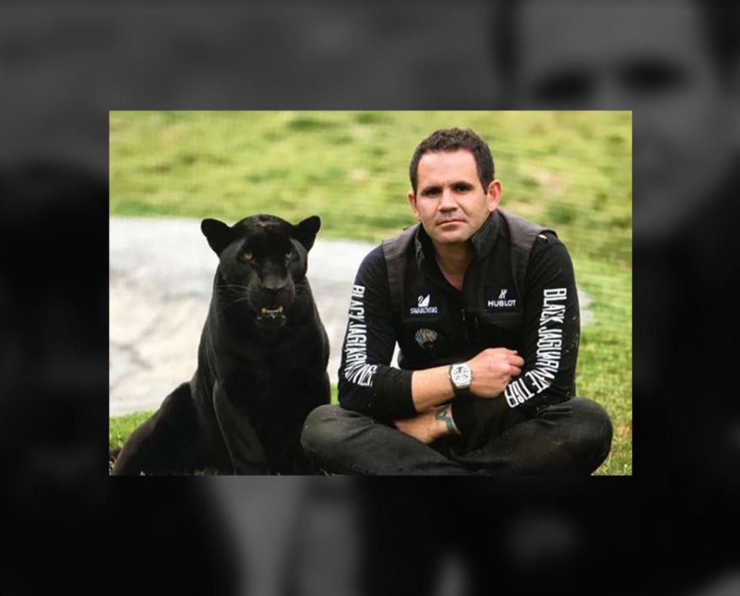 Empresario mexicano funda ‘Black Jaguar- White Tiger’, santuario para felinos en cautiverio