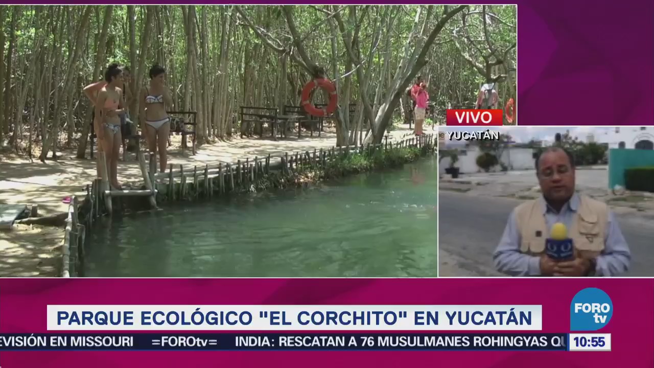 Parque Ecológico El Corchito Yucatán Sitios Turísticos
