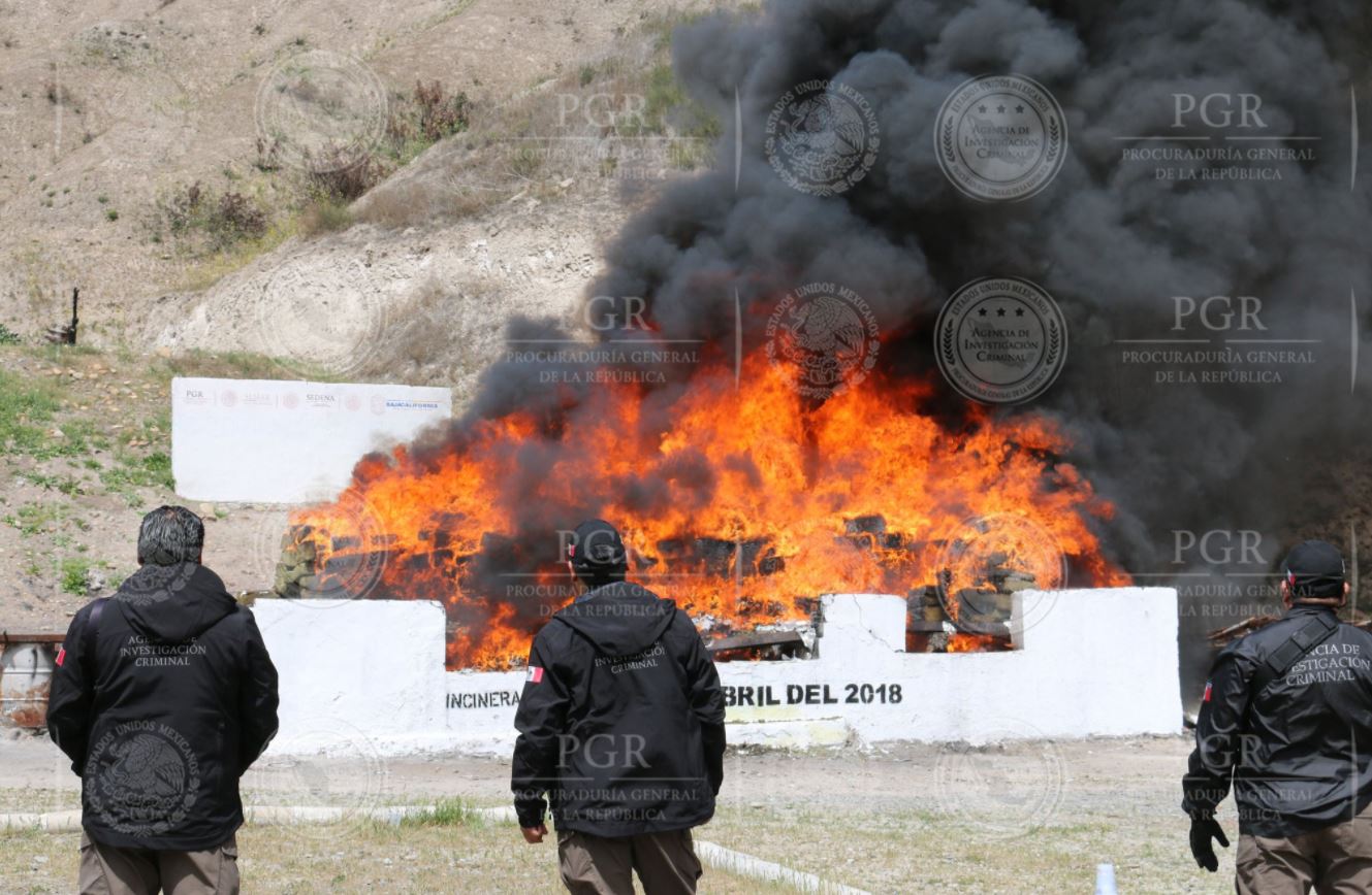 PGR incinera más de ocho toneladas de narcóticos en Tijuana