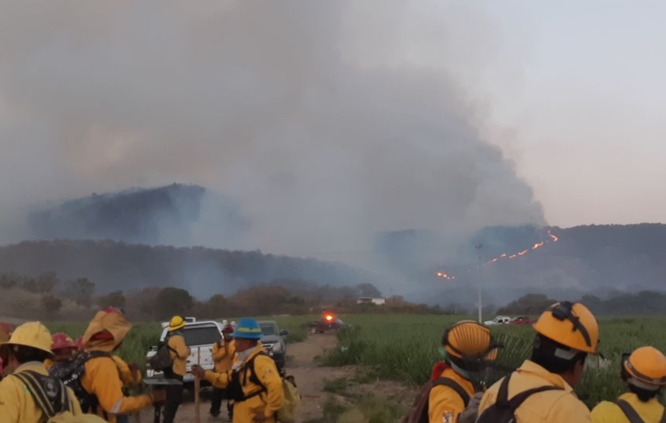 Incendio del bosque La Primavera en Jalisco, el más grande de los últimos años