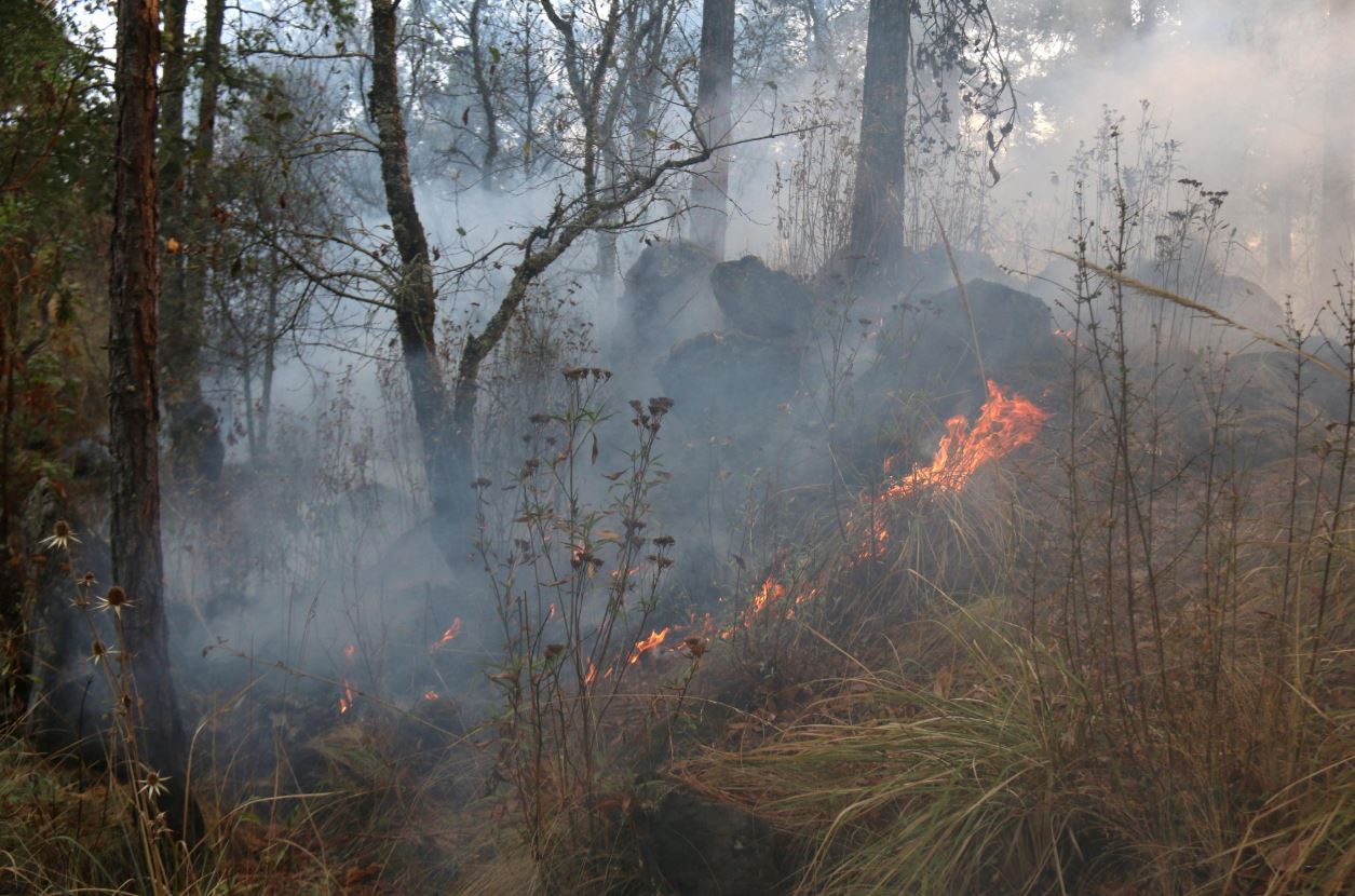 incendio forestal valle bravo medio ambiente