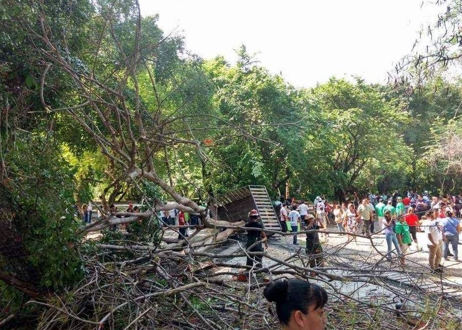 Cae puente colgante en Tapachula, Chiapas; hay cuatro lesionados