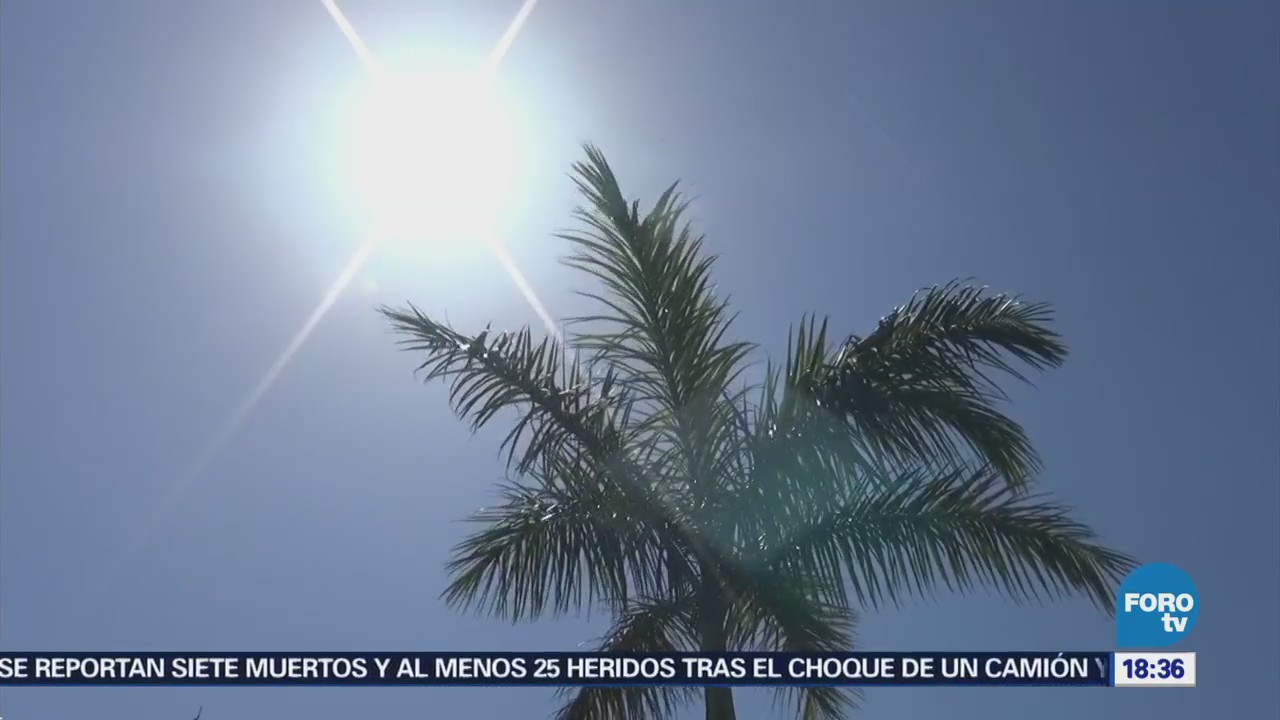 Temperaturas Cercanas 43 Grados Ola Calor Campeche