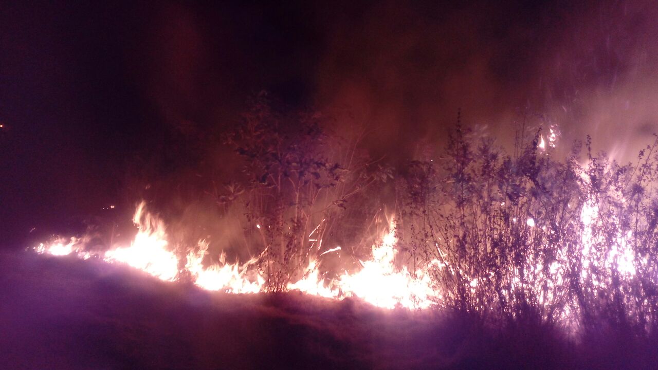 Se registra incendio forestal en la zona de pastizales de Michoacán