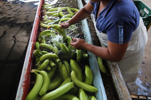 México busca exportar más plátano y cerdo a China