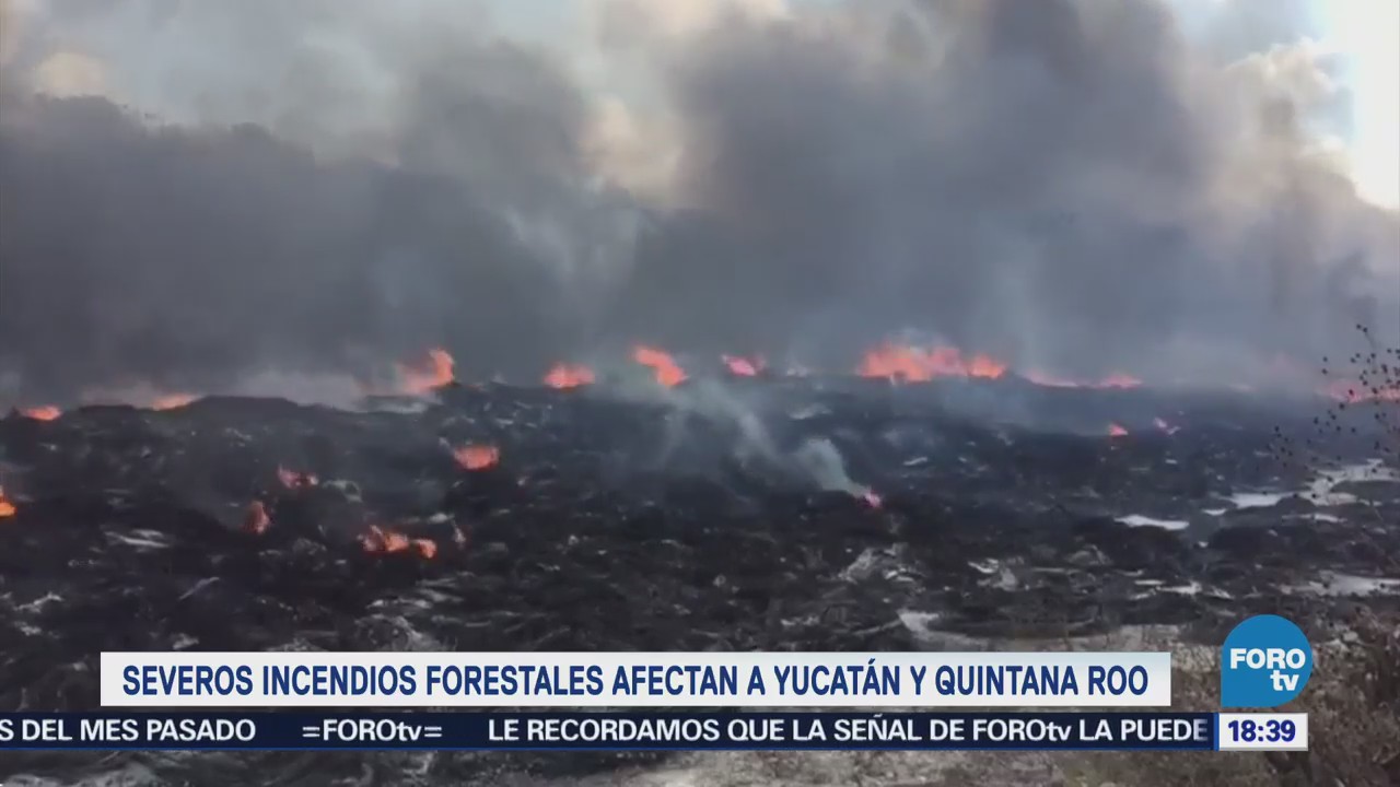 Severos Incendios Forestales Afectan Yucatán Q. Roo