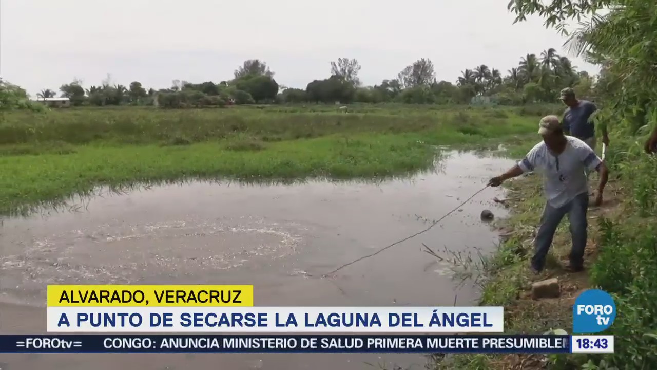 Seca Laguna Del Ángel Alvarado, Veracruz