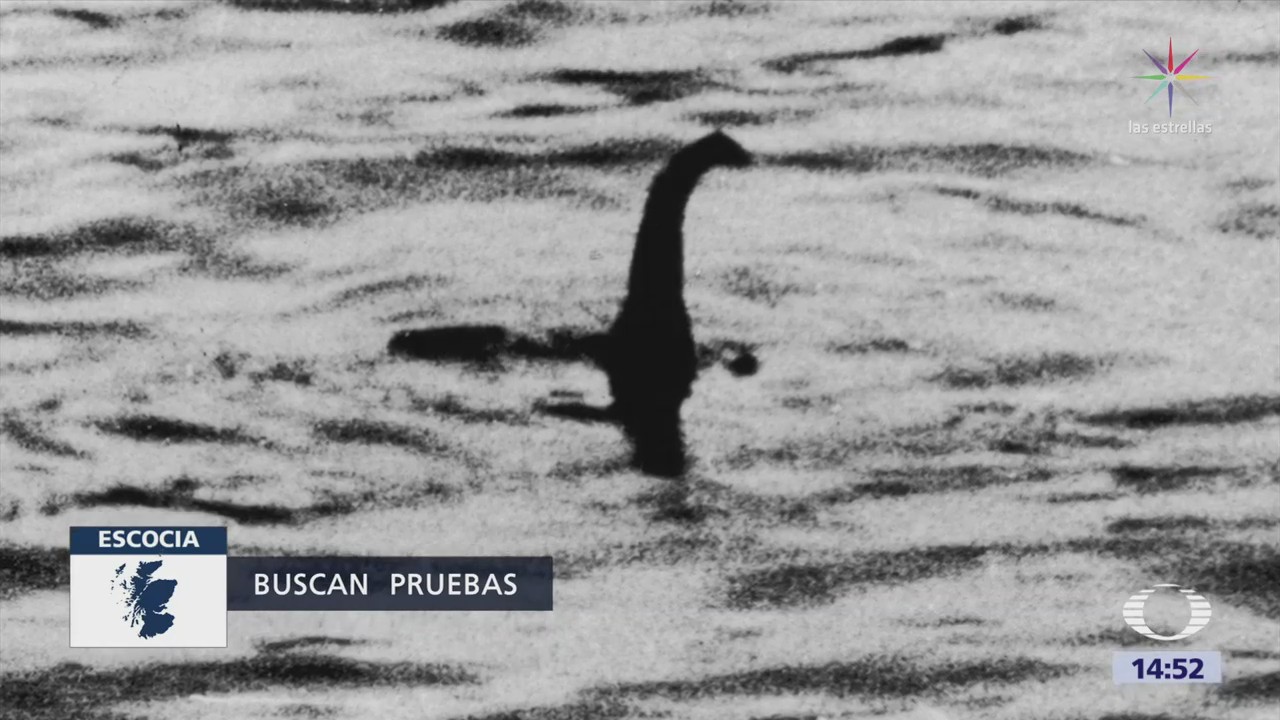 Buscan pruebas del famoso monstruo del Lago Ness