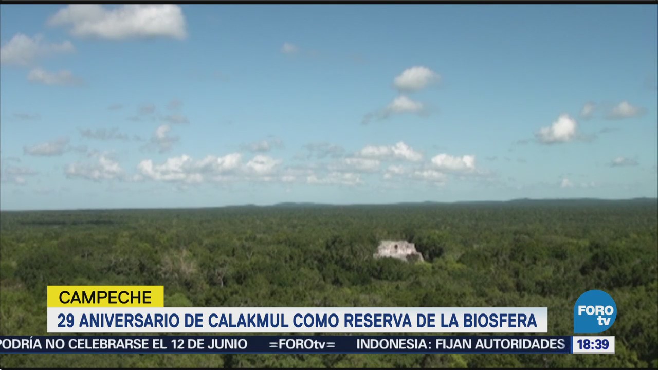 Calkmul Cumple 29 Años Como Reserva Biosfera