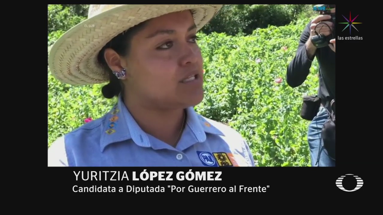 Candidata de Guerrero propone legalizar amapola