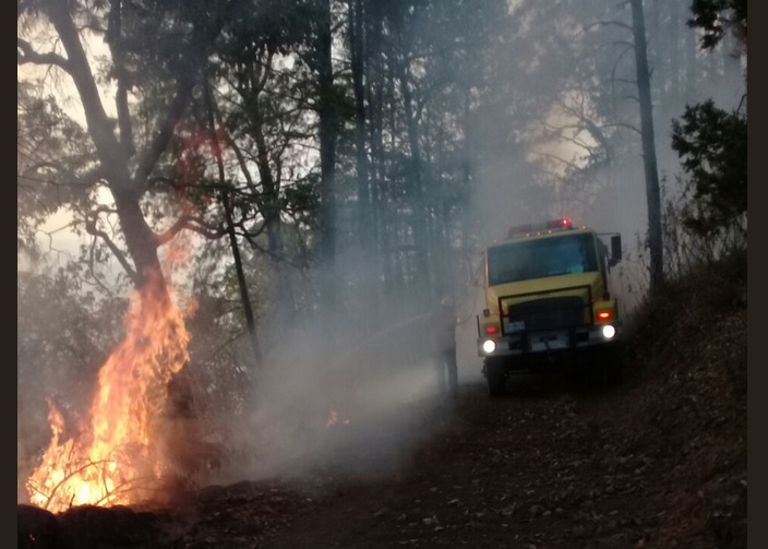 Suman más de 800 incendios forestales en Acapulco, Guerrero