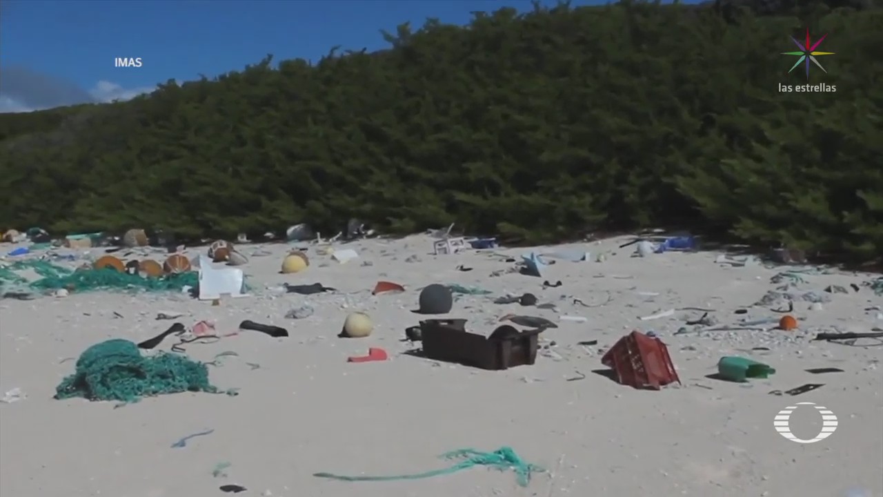 Desechos Plástico Flotan Caribe