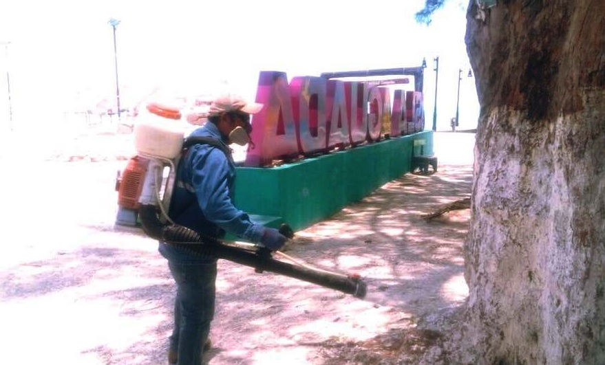 Detectan brote de paludismo en Candelaria Campeche