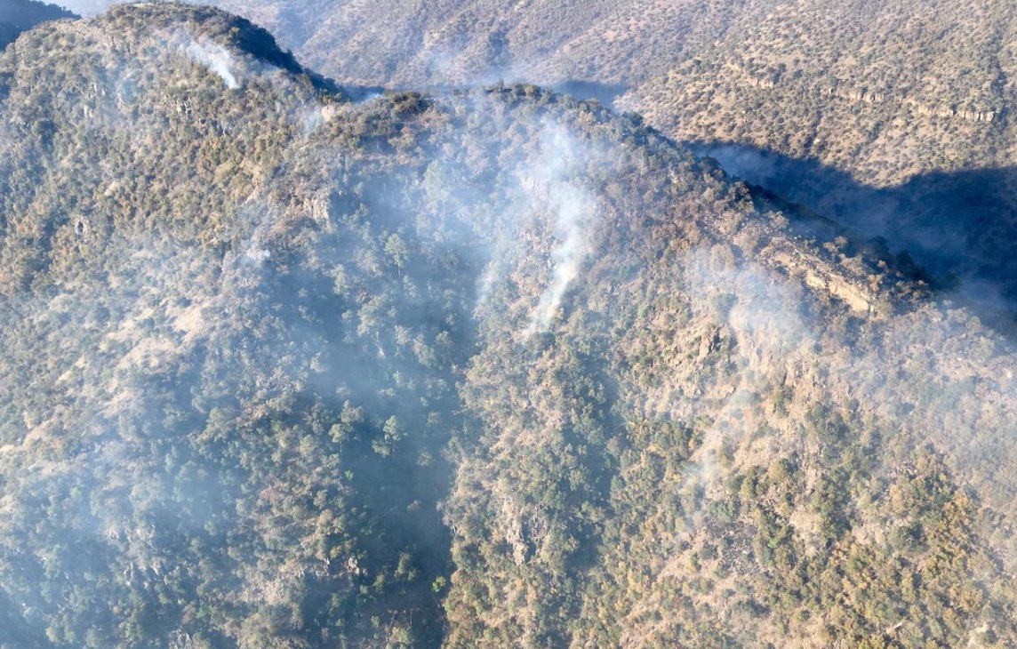 Incendios forestales afectan la sierra de Chihuahua