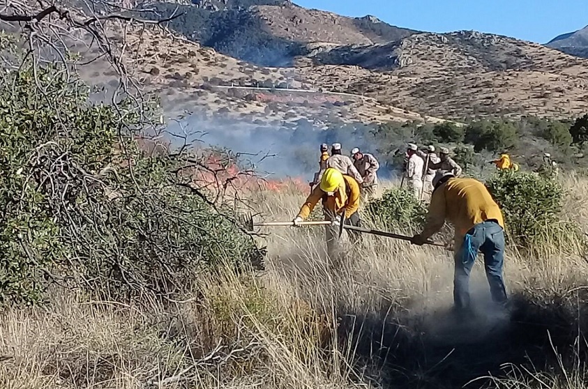 Bajo control, incendios forestales en Agua Prieta y Yécora, Sonora