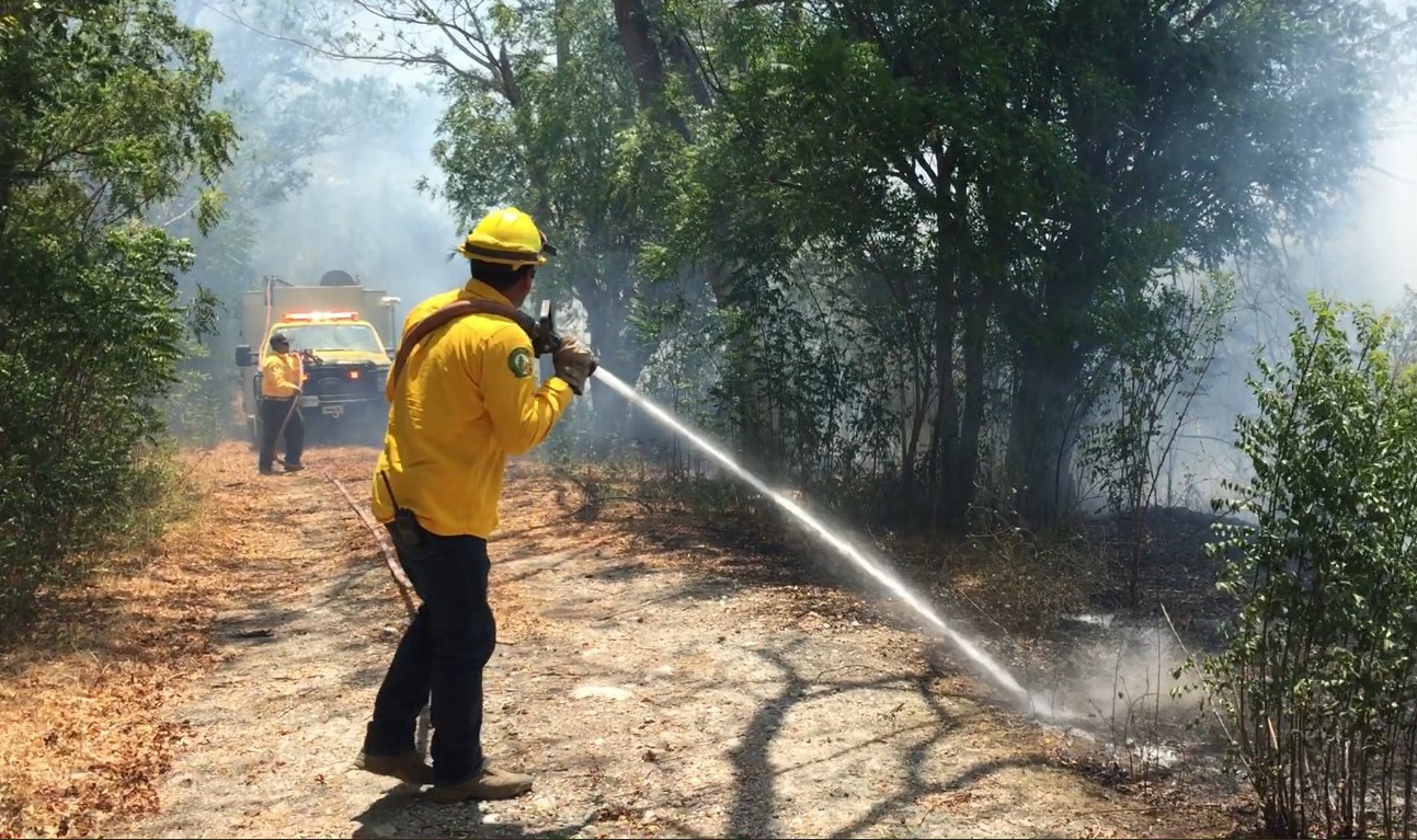 Alerta en Sonora por aumento de incendios forestales