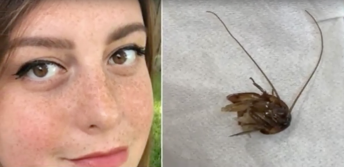 Esta mujer tuvo una cucaracha nueve días dentro de su oído