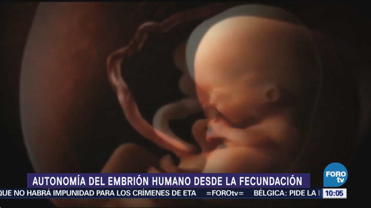 La autonomía del embrión humano desde la fecundación
