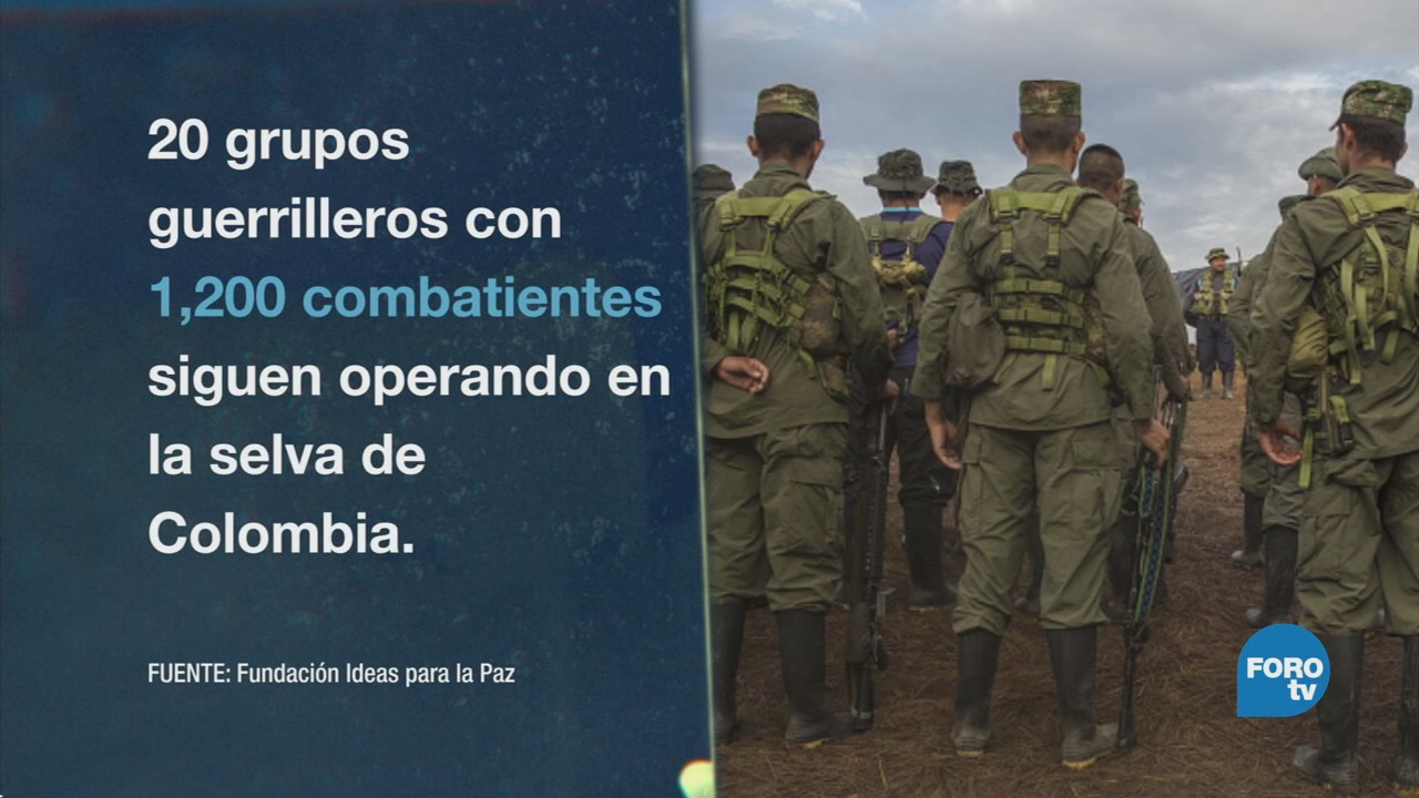 Guerrilla Colombiana Pasa Fronteras Las FARC