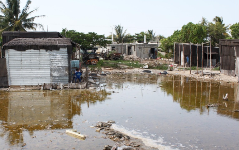 Asentamiento irregular en las Ciénegas, Yucatán, provoca daño ecológico