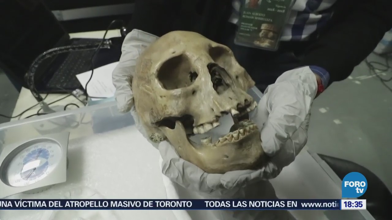 Restos Humanos Forman Osteoteca Museo Nacional de Antropología
