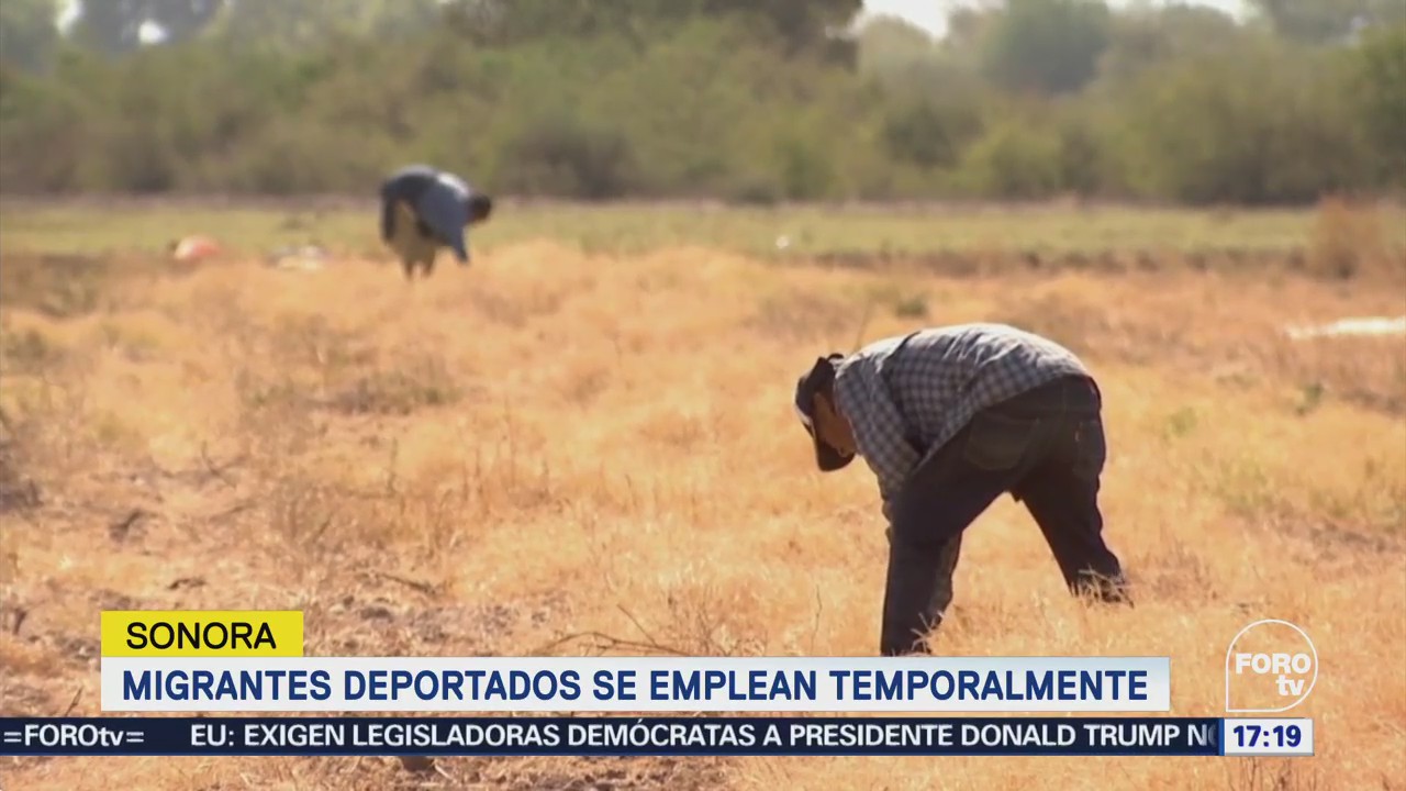 Mexicanos deportados encuentran empleo en Sonora