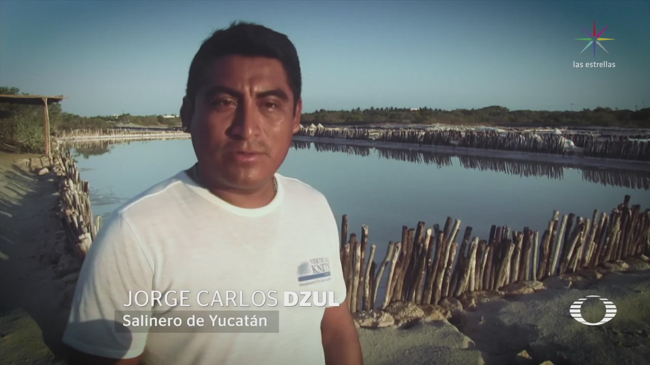 Pescadores Rescatan Charcas Salineras Yucatán Mayas