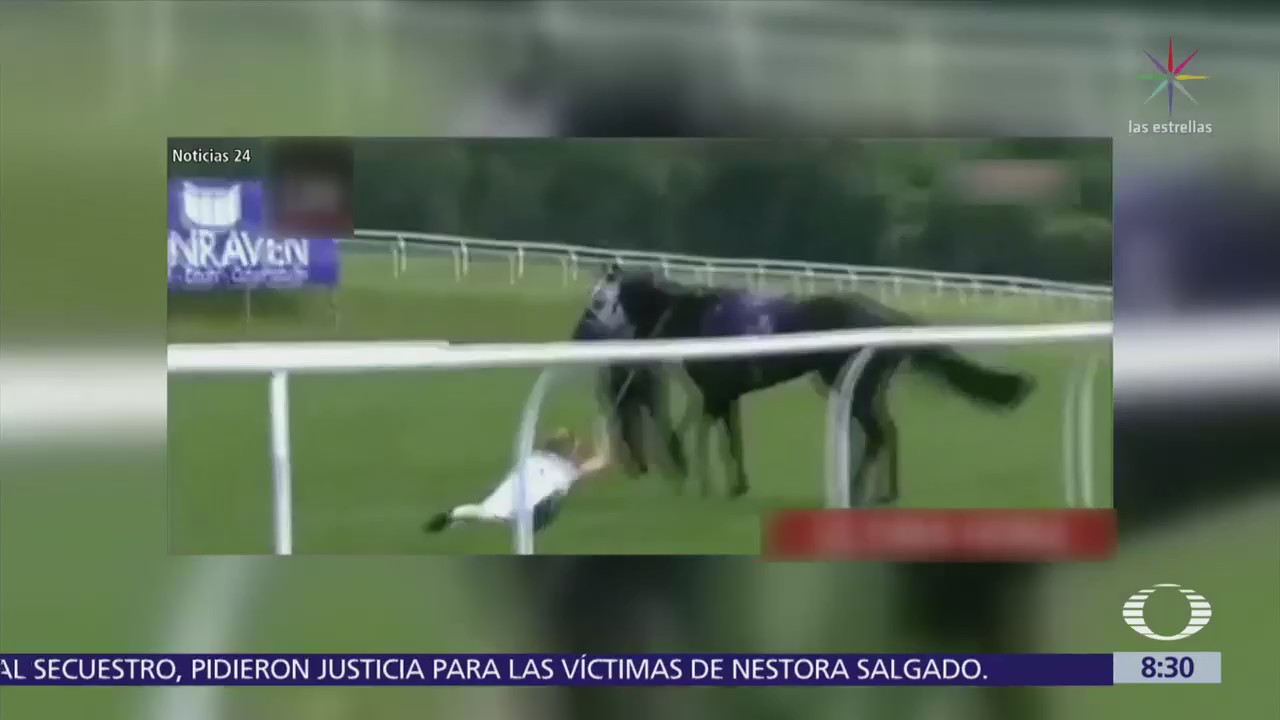 Reportera inglesa arriesga su vida por un caballo