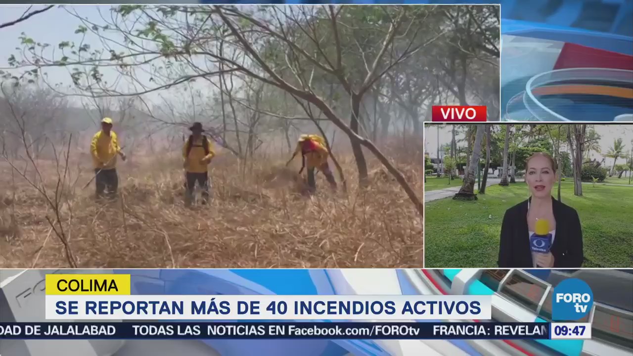 Reportan 40 Incendios Forestales Colima