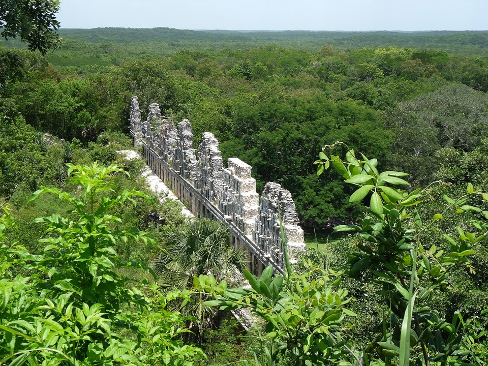 Yucatán se une a la lucha global por el Medio Ambiente