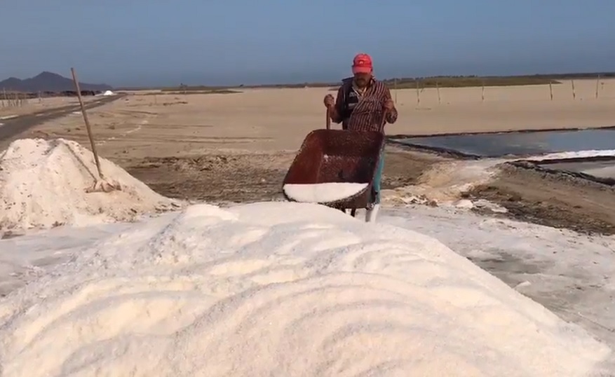 Termina zafra de la sal en Colima con 75 mil toneladas de producción