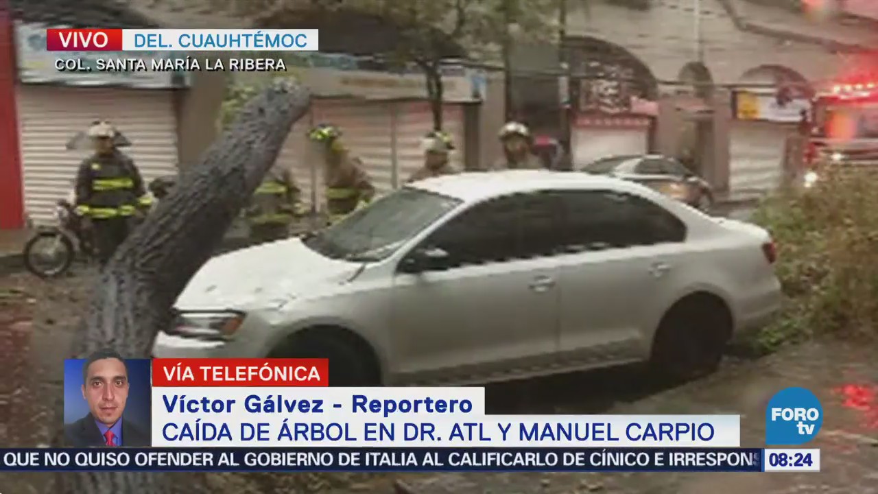 Cae árbol y afecta auto en la colonia Santa María la Ribera