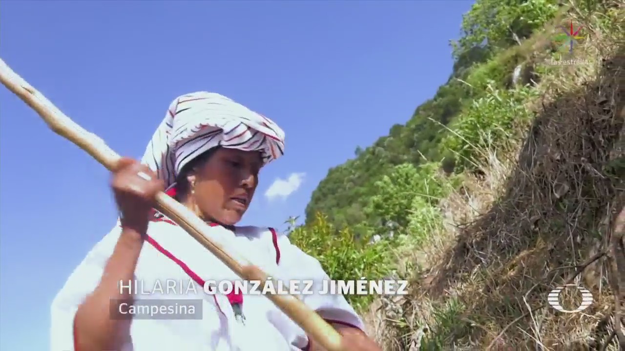 Campesinas de Oaxaca implementan nuevas técnicas agricultura