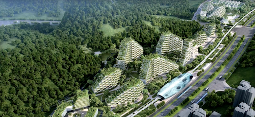 Ciudad Forestal China Liuzhou Contaminación Plantas