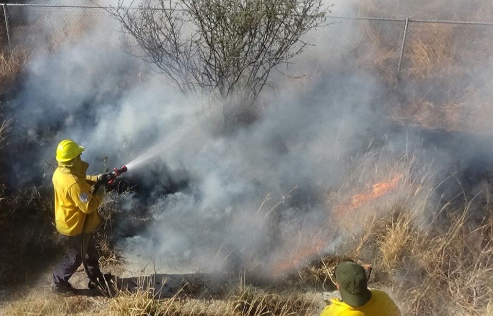 Reportan cinco incendios forestales activos en Sonora
