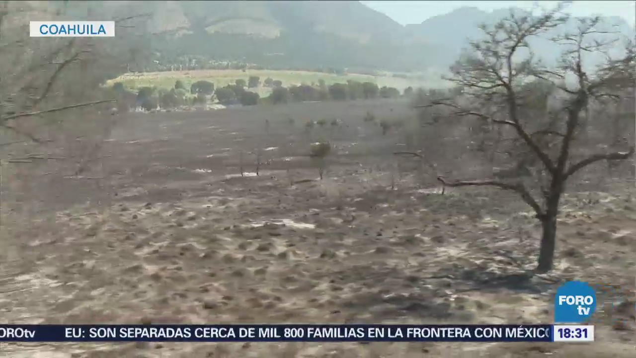 Continúa Incendio Forestal Límites Nl Coahuila