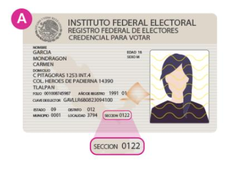 credencial-para-votar-numero-seccion