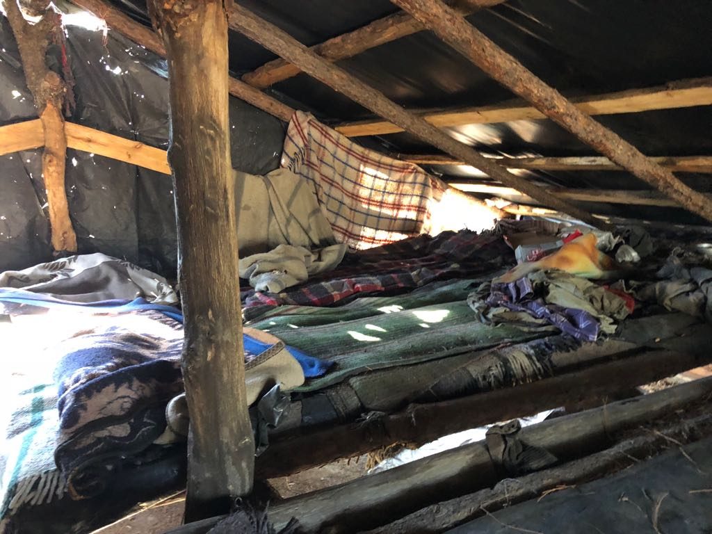 Destruyen campamentos del crimen organizado en Chihuahua