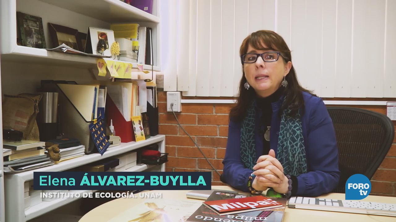 Elena Álvarez Buylla Premio Nacional Ciencias